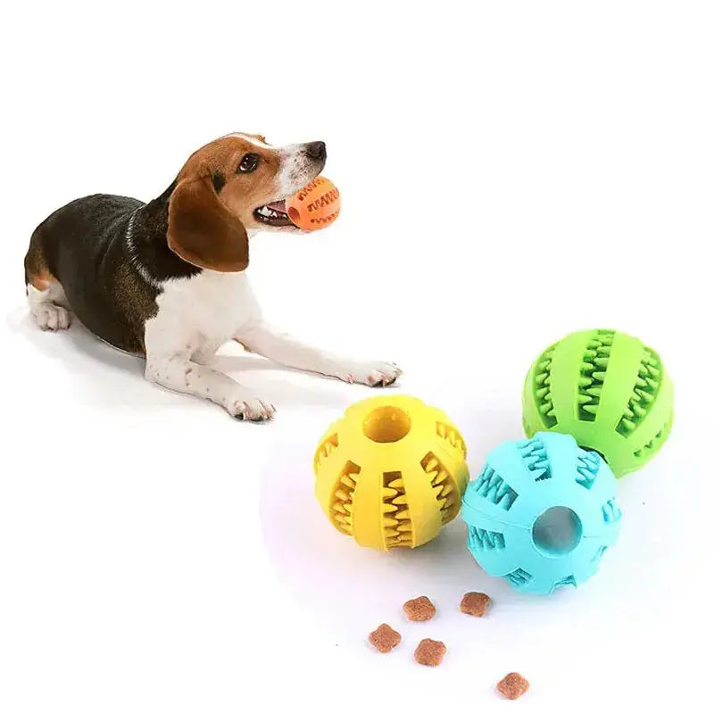 Zahnpflege-Futterball für Hunde – Robust & Kaubar